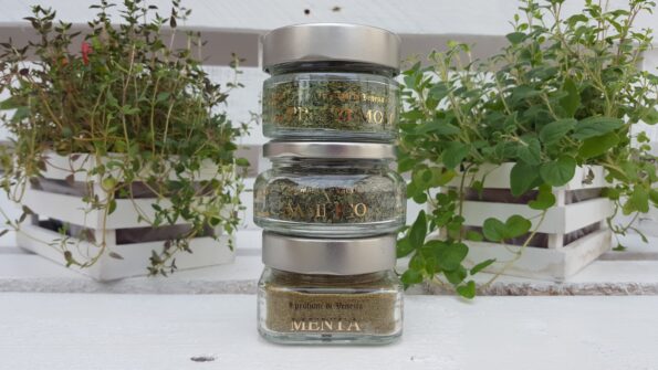 erbe aromatiche bio vasetto