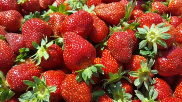 fragole