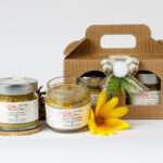 box cicchetti